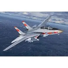Grumman F-14A Tomcat