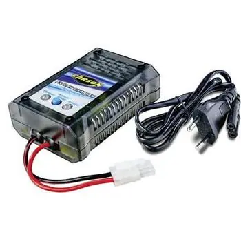 Expert Charger NiMH 2A
