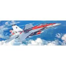 1:48 F/A-18F U.S. Navy Special Colors