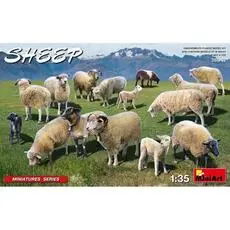 1:35 Schafe (15)