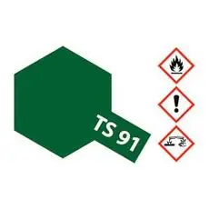 TS-91 JGSDF Dunkelgrün 100ml Spray