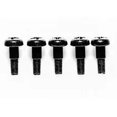 Paß-Schrauben 3x10mm (5)