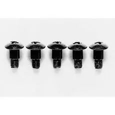 Paß-Schraube 4x10mm (5) TA02/03/M-Chass.